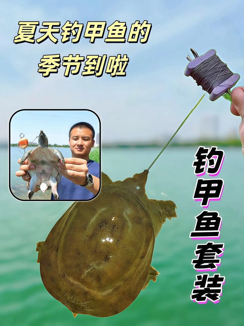 想钓细甲鱼？掌握这些技巧，让你收获满满！