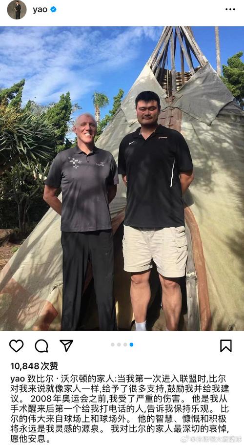 比尔沃顿身高惊人！揭秘这位传奇中锋的真实身高