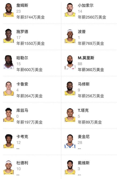 湖人战绩排名及球队表现分析，西部球队竞争激烈吗？