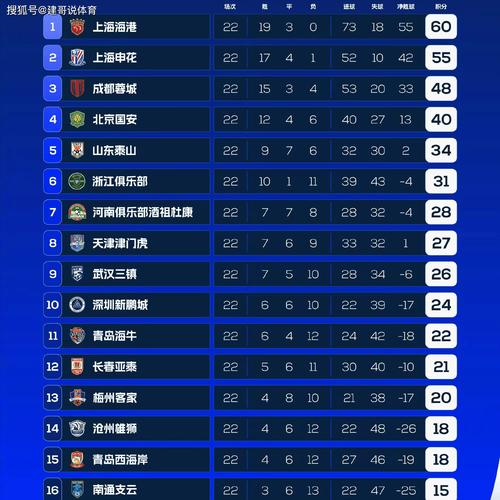 中超联赛积分榜：谁是最终赢家，谁又遗憾降级？