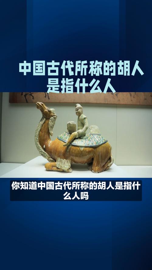 胡人是哪里人？古代胡人分布及民族详解