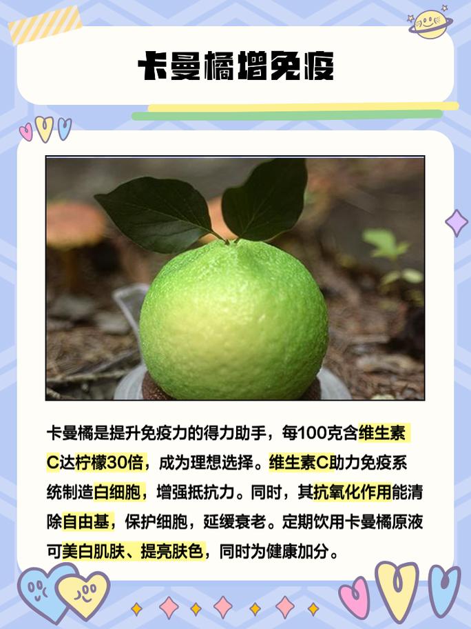 卡曼橘的功效与作用是什么？适合哪些人群食用？