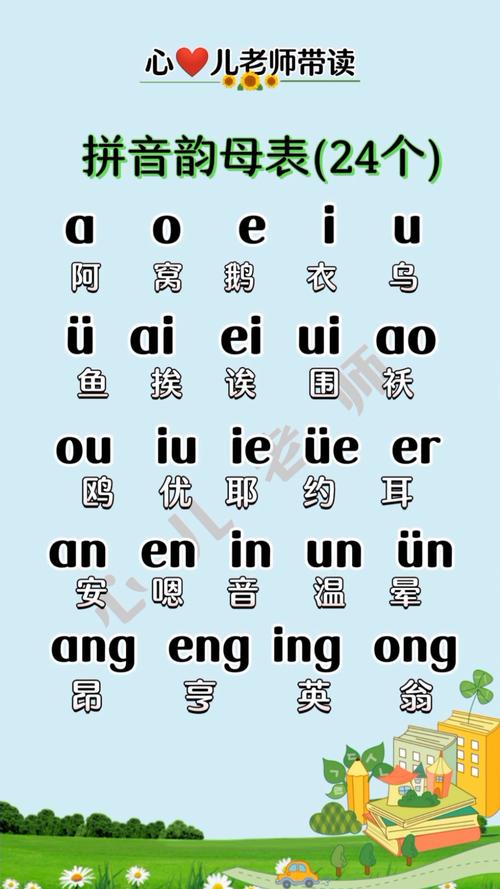 白鹈鹕的正确读音是什么？发音技巧及相关知识分享