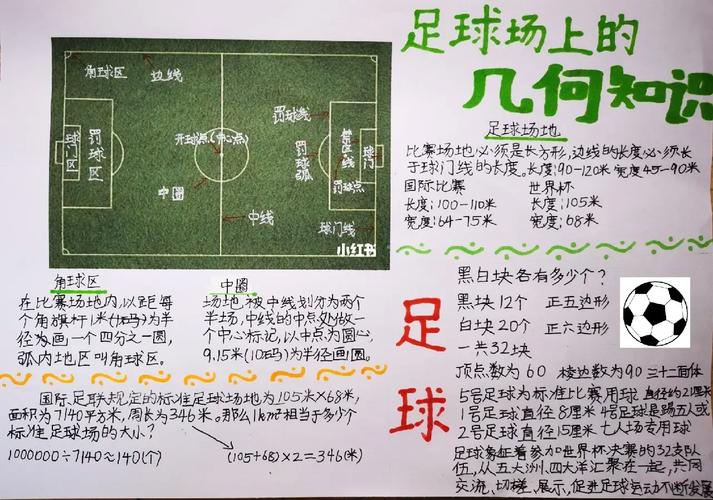 你不知道的足球场秘密：尺寸、历史与文化