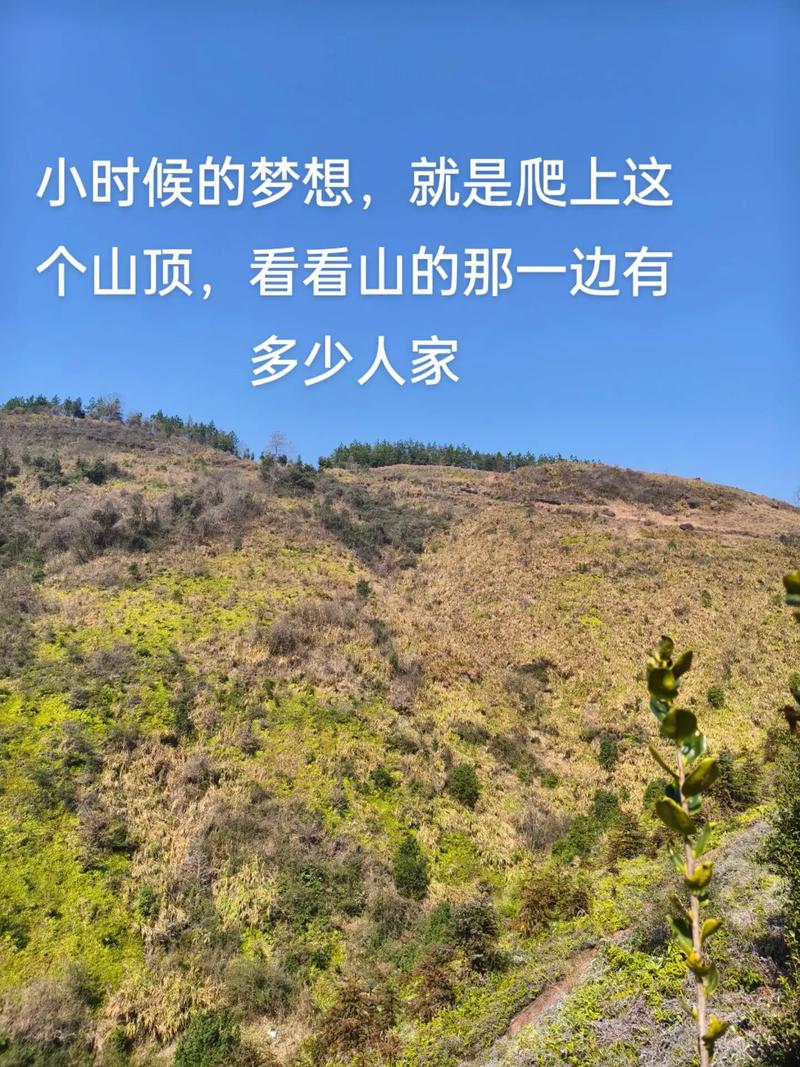 揭秘王增杰的故乡：他是福建哪里的篮球明星？