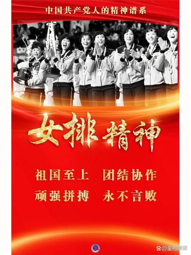 解读女排精神：顽强拼搏的背后是什么？