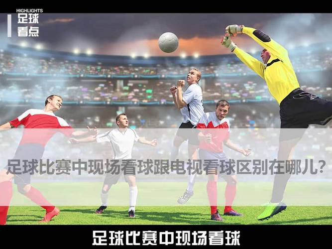 看足球比赛在哪看？免费高清直播平台大全