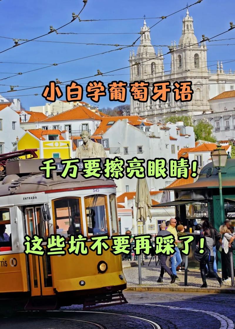 葡萄牙语难学吗？学习时间和难度深度解析