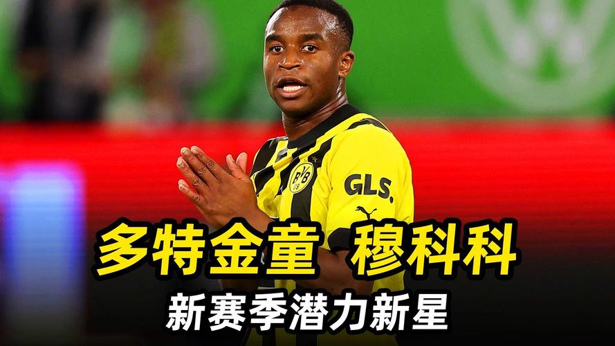穆科科水平分析：潜力与现实之间还有多远距离？