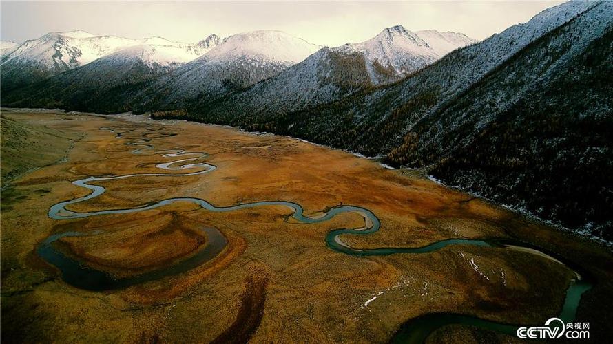 你知道阿尔泰山在哪里吗？带你了解它的地理分布
