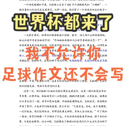 世界杯足球是几号？这篇文章告诉你标准答案！