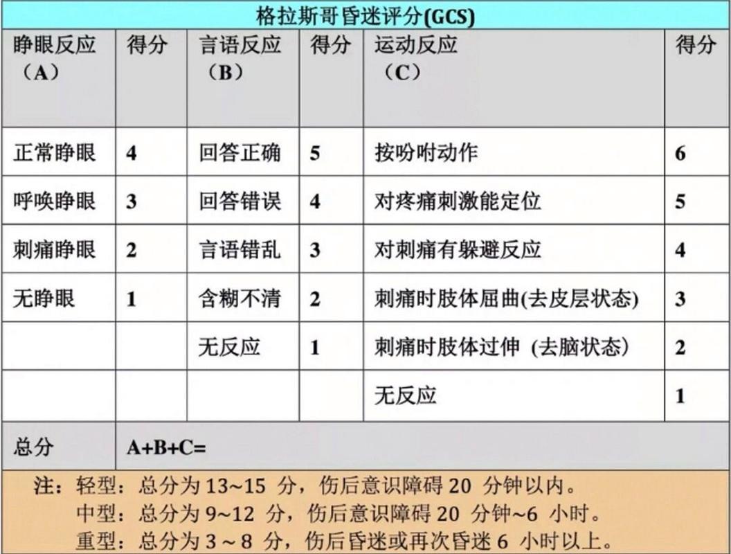 西格诺里水平怎么样？看完这篇你就知道了！