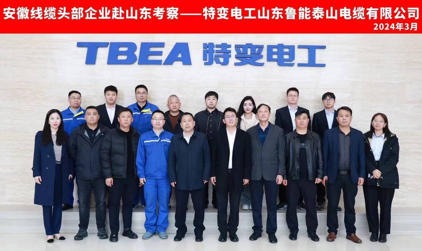 鲁能集团是国企吗？深度揭秘公司性质！