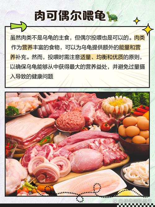巴西龟吃什么东西才能养好？这些食物千万别喂！
