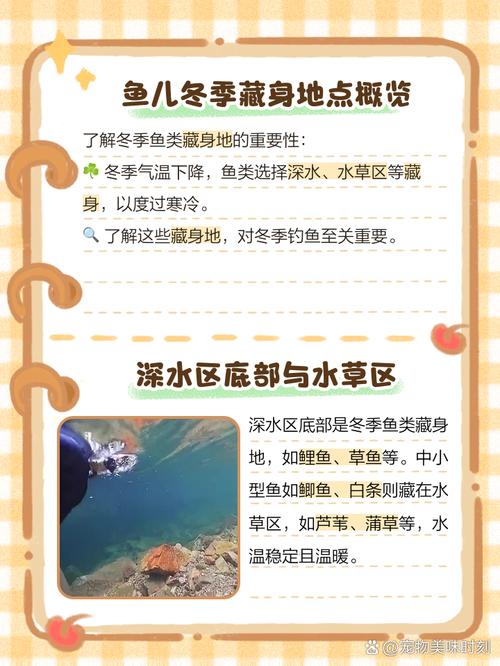 避风港是什么意思？3分钟带你了解它的真正含义！