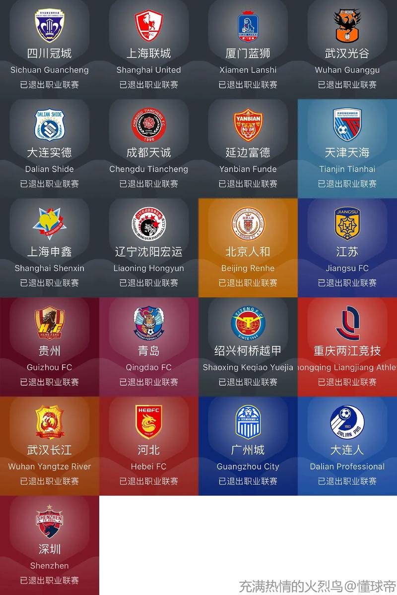 足球俱乐部有哪些？新手球迷入门必看篇！