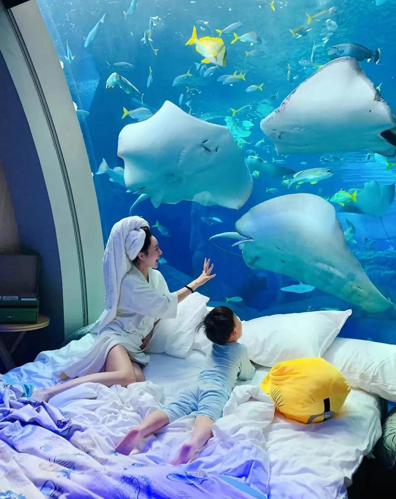 亚特兰蒂斯在哪里？一起探寻海底的秘密！