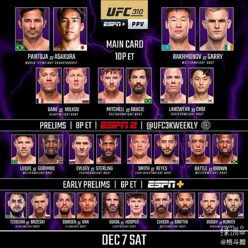 ufc是什么比赛？格斗小白入门终极指南！