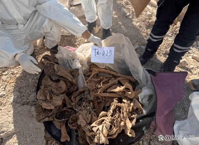 叙利亚现在还乱吗？当地人告诉你真实的情况！