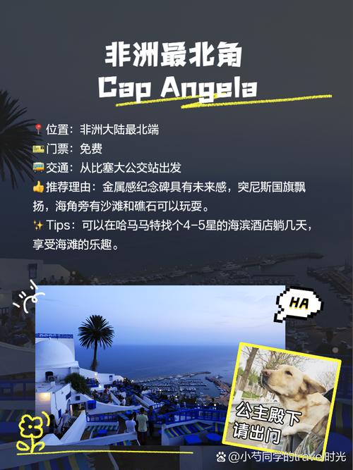 突尼斯什么最出名？当地人告诉你这些值得看！