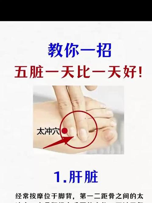 体检肝功能检查多少钱？教你几招省钱小技巧！