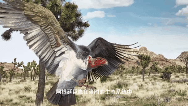 阿根廷巨鹰抓捕指南：诱捕还是陷阱？