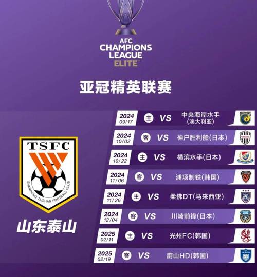 亚冠赛场中超球队集体失利，背后隐藏着哪些问题和原因？