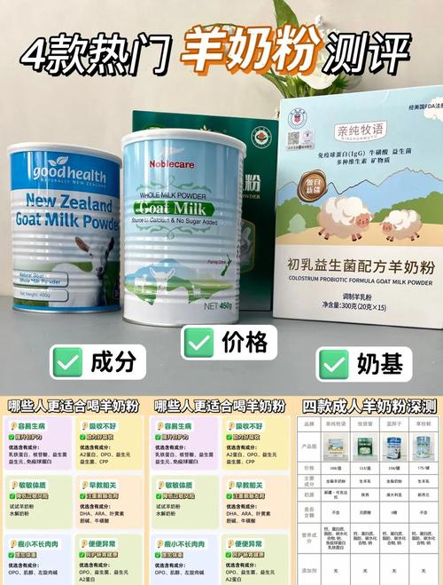 荷兰时间现在几点？快速查看荷兰实时时间