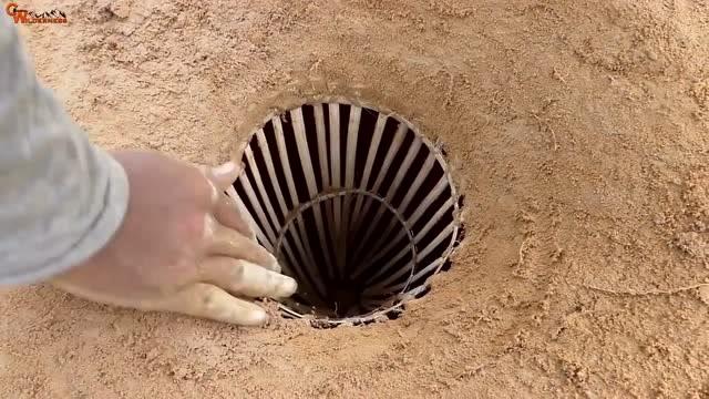 阿根廷巨鹰抓捕指南：诱捕还是陷阱？