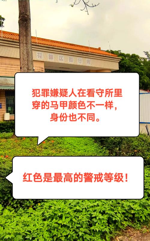 深入了解：看守所黄马甲犯人身份及相关罪行深度解析