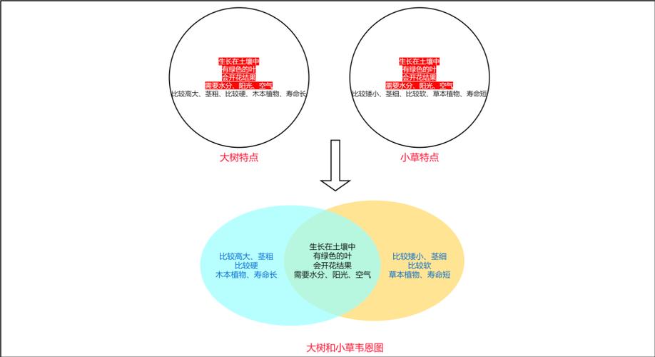 维恩图是什么意思？图文详解维恩图的定义、作用及绘制方法
