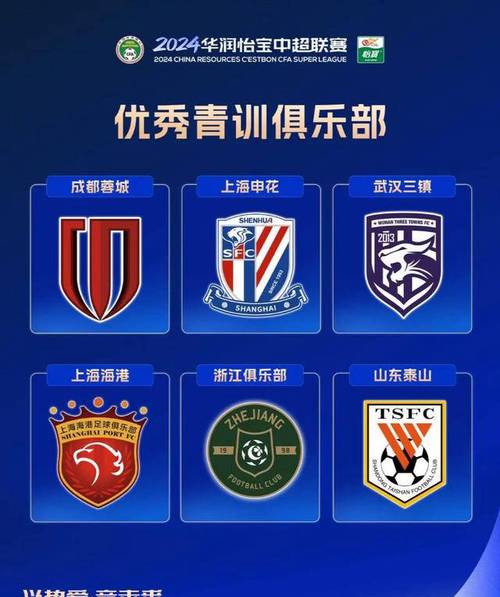 中超联赛与其他亚洲联赛相比怎么样？实力差距大吗？
