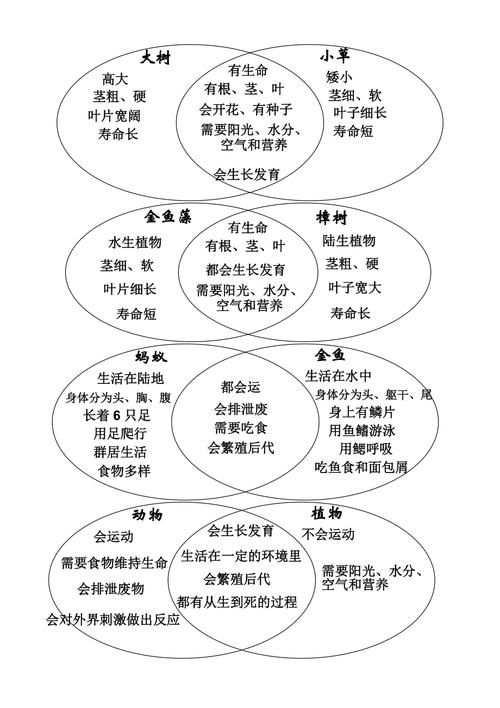 维恩图是什么意思？图文详解维恩图的定义、作用及绘制方法