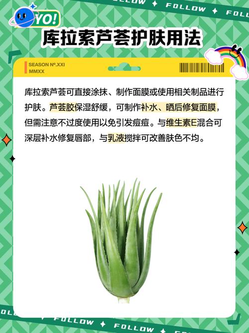 库拉索芦荟这样吃最好，简单步骤轻松搞定