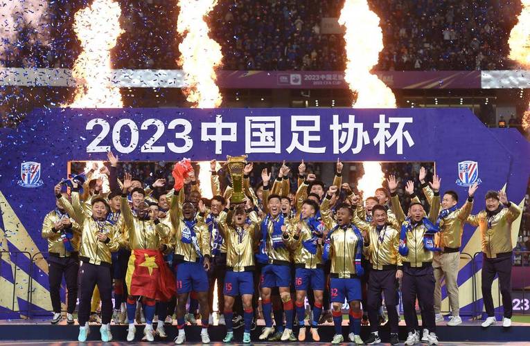 申花足球队夺冠年份大全，带你重温申花队的辉煌战绩