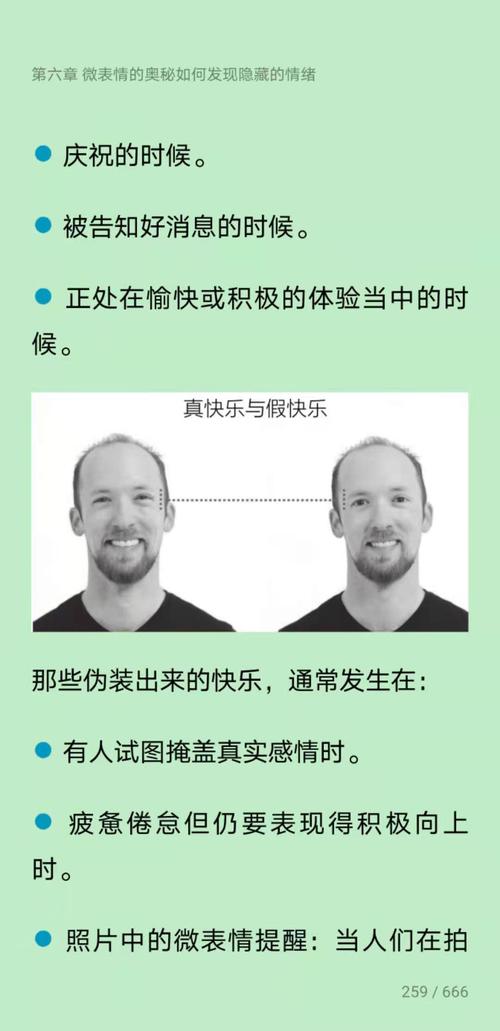 想了解世界杯有哪些项目？这里有你想要的答案