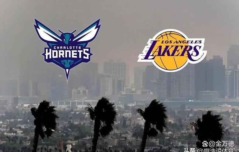 NBA夏洛特山猫队去哪了？球队更名及历史回顾
