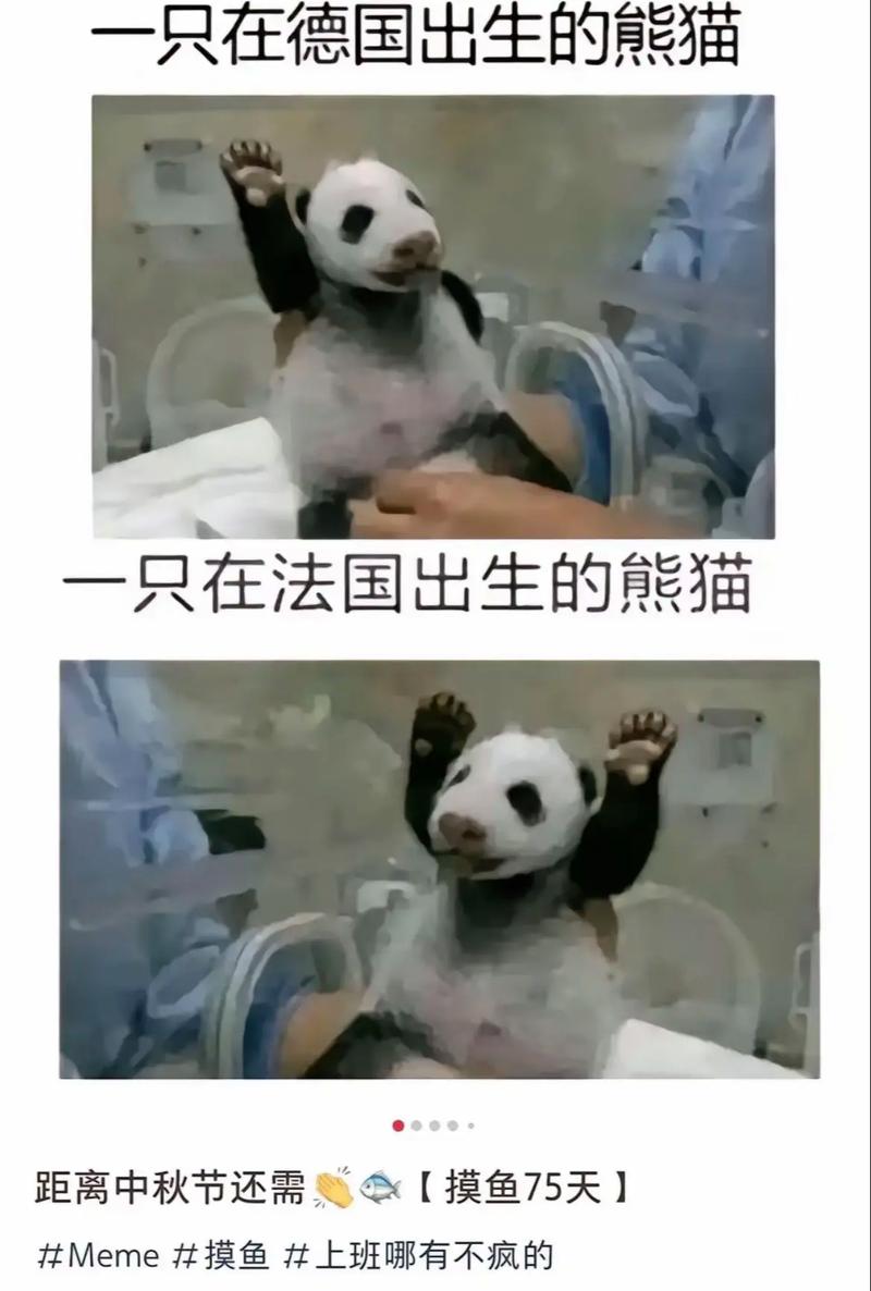 德国骨科是什么梗？网络流行语深度解读