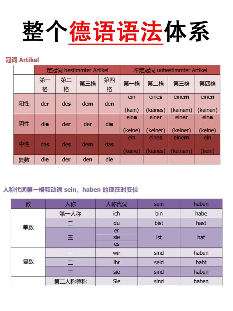 搞懂TAL：从英文缩写到德语单词，一次性掌握