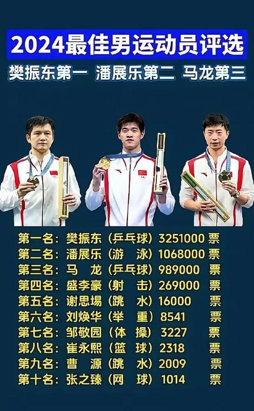 揭秘马龙樊振东比赛结果：究竟谁夺冠？