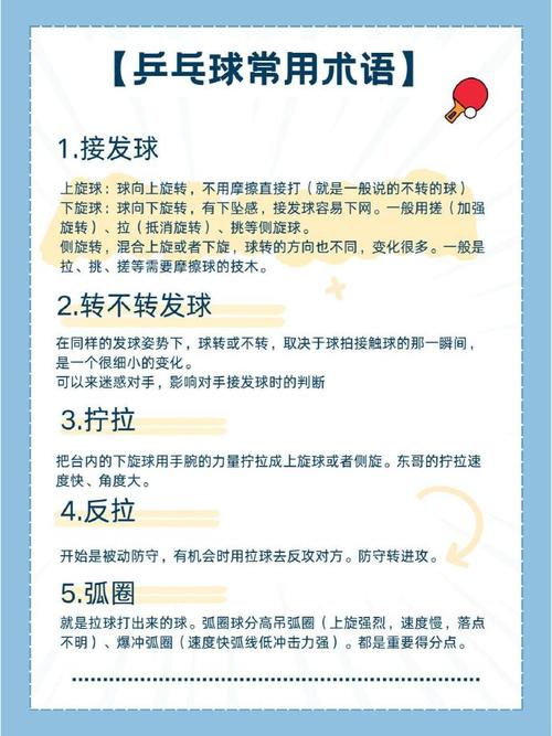 乒乓球团体赛比赛规则是什么？新手入门快速指南