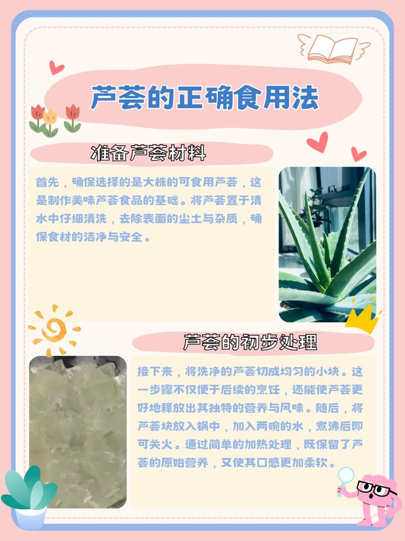 库拉索芦荟这样吃最好，简单步骤轻松搞定