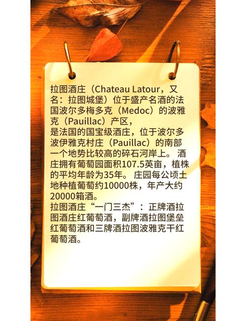 葡萄酒圣地波尔多位于哪个国家？深度解析其魅力