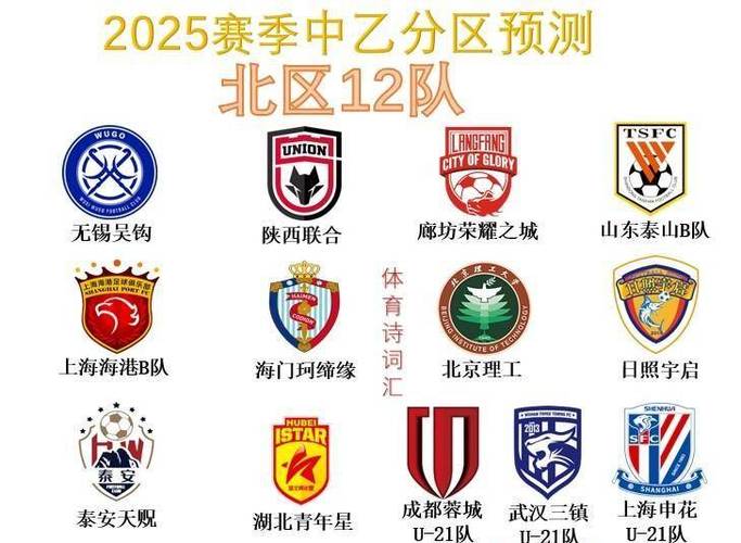 最新消息：中乙联赛有多少支球队？2025赛季球队数量预测