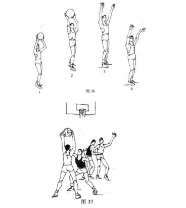 篮球基本功训练教程：运球、投篮等技巧详细讲解