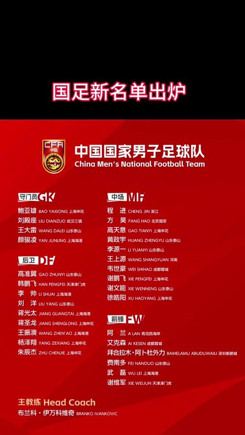 中国足球归化球员花费多少？投资回报率几何？