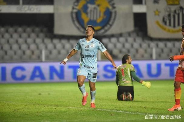 巴甲联赛不为人知？揭秘其鲜为人知的幕后故事