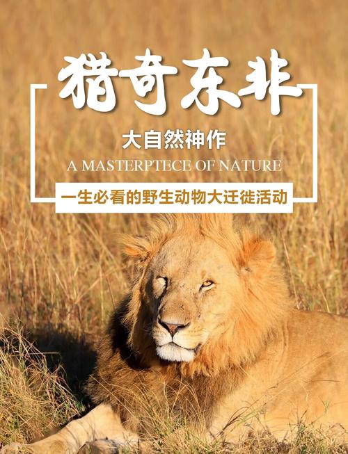 肯尼亚是哪个国家？探秘东非野生动物天堂