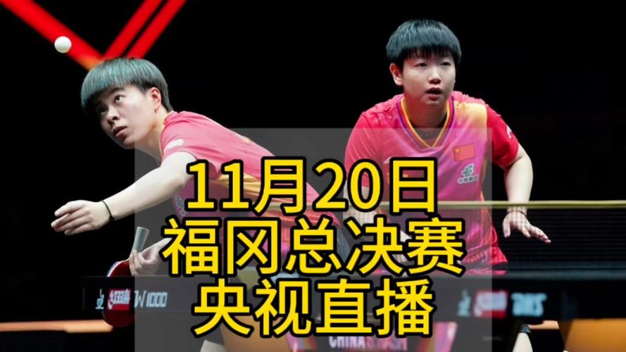 哪里可以看乒乓球比赛？央视及其他平台直播信息！