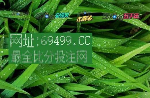 球探比分网无法打开？教你几招轻松解决